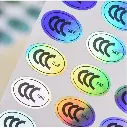 S9aa41c50e9d34fcfa9c56e324e0cec9.webp